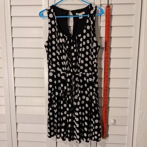 WHBM 🐞 polka dots dress